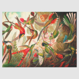 Papel del tejido de descomposición de Hummingbirds