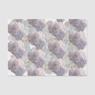 Papel del tejido de hidrangea rosa y blanca