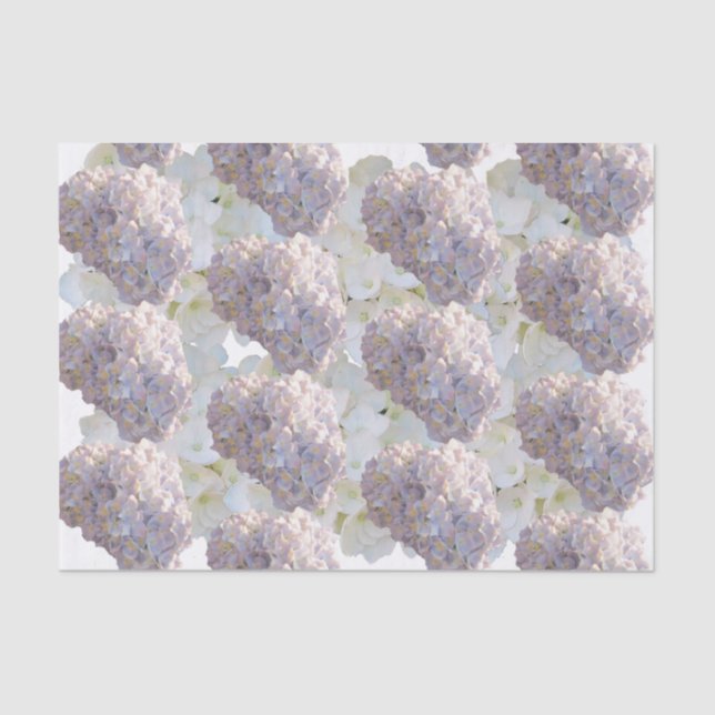 Papel del tejido de hidrangea rosa y blanca (Anverso)