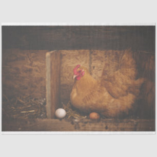 Papel del tejido de la descomposición de la granja