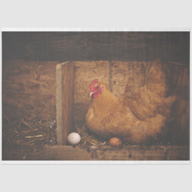 Papel del tejido de la descomposición de la granja (Anverso)