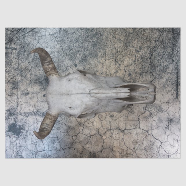 Papel del tejido de la descomposición del cráneo d (Anverso)