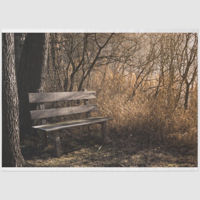 Papel del tejido de la desunión del banco del parq (Anverso)