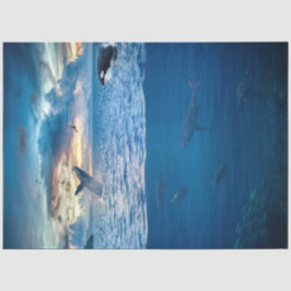 Papel del tejido de la desunión oceánica de los de