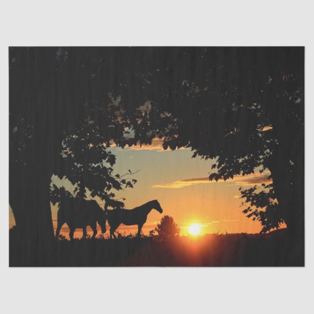 Papel del tejido de la manta de sol de caballos (Anverso)