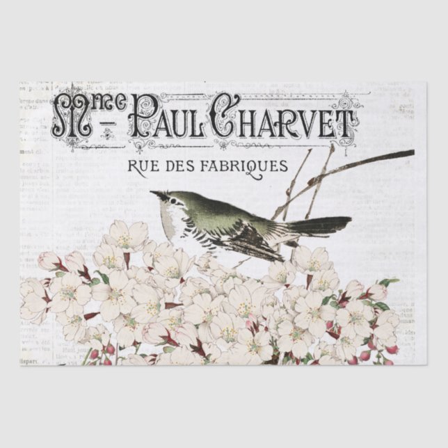 Papel del tejido de las aves y la magnolia (Anverso)