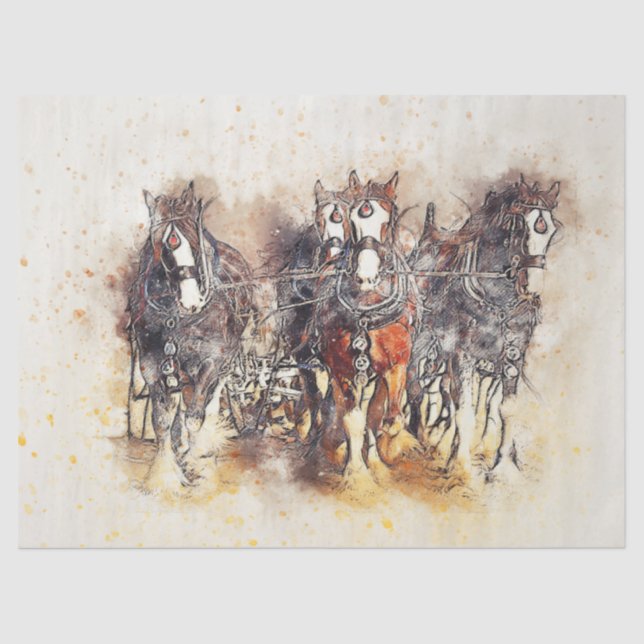 Papel del tejido del arte de la deformación occide (Anverso)