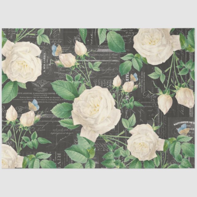 Papel del tejido del collarín de la rosa blanca ro (Anverso)