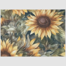 Papel del tejido del girasol