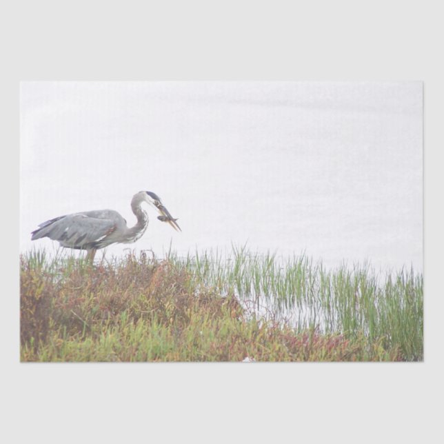 Papel del tejido del pez silvestre Great Blue Hero (Anverso)
