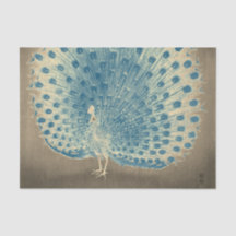 Papel del tejido PEACOCK JAPONÉS