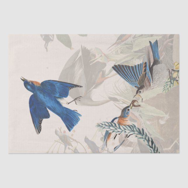 Papel del tejido silvestre Audubon Heron Bluebird (Anverso)