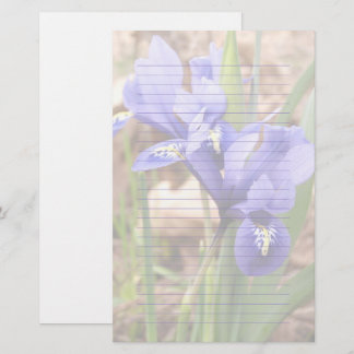 Papel enano morado Iris Floral Estacionamiento