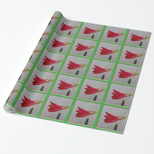 papel envolvente (Desenrollado)