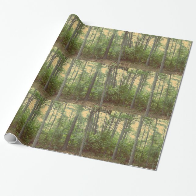 Papel envolvente de árboles forestales (Desenrollado)