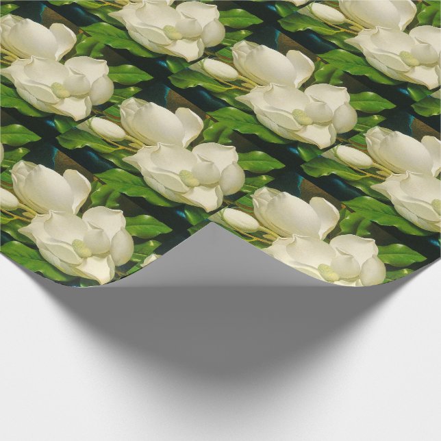Papel envuelto de flores de magnolia de cabeza (Esquina)