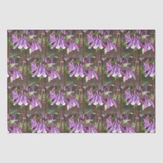 Papel envuelto de las flores de Aquilegia Púrpura