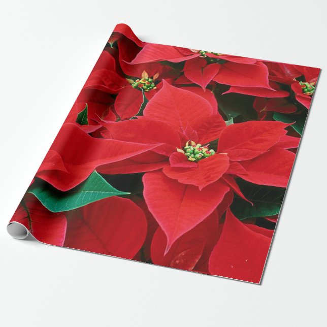 Papel envuelto de los Navidades (Desenrollado)