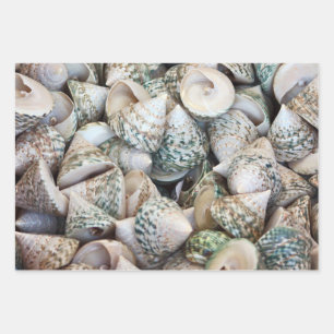 Papel envuelto para los amantes del océano!