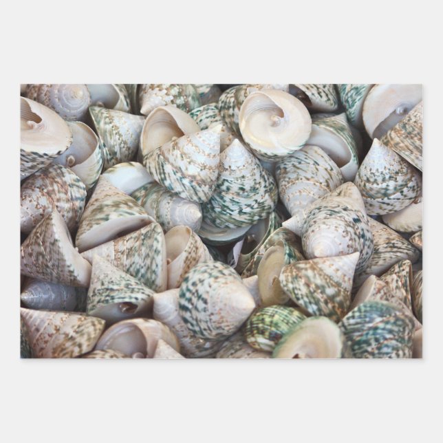 Papel envuelto para los amantes del océano! (Anverso)