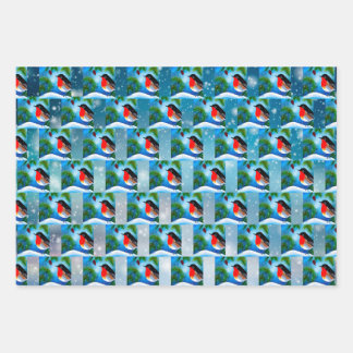 Papel envuelto para navidades, perfecto para regal