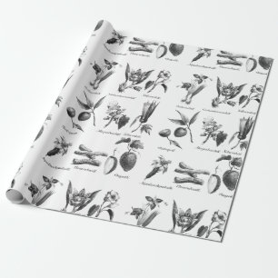 Papel exótico del regalo de la aguafuerte de la