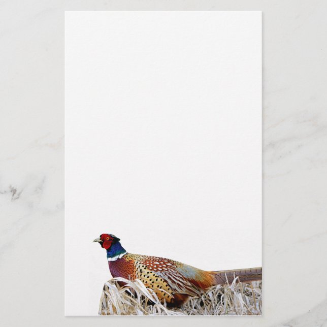 Papel fotográfico de faisán de cuello anaranjado (Anverso)