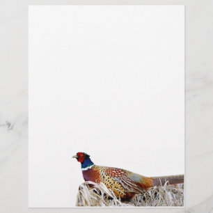 Papel fotográfico de faisán de cuello anaranjado