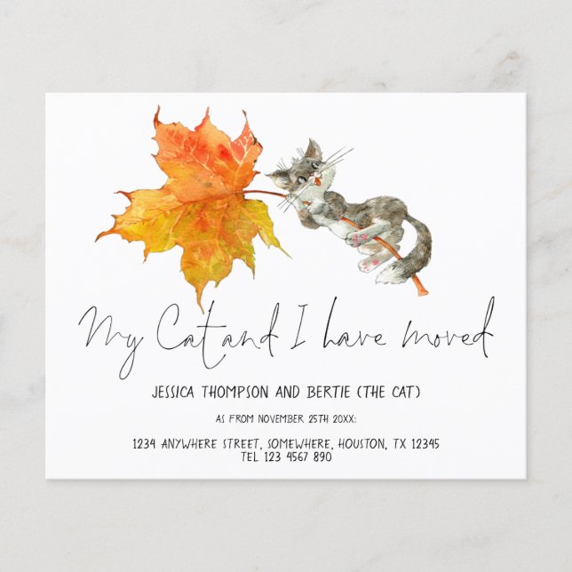 PAPEL | Gracioso Mi gato he movido el guión nuevo  (Frente)