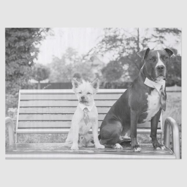 Papel higiénico boda Doggie (Anverso)