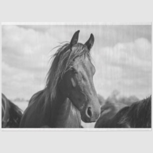 papel higiénico de cabeza de caballo