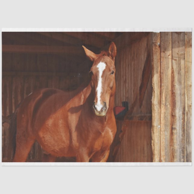 papel higiénico de grano (Anverso)