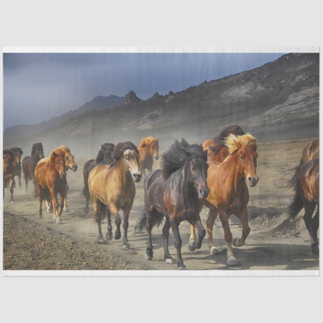 papel higiénico de la pista de caballo (Anverso)