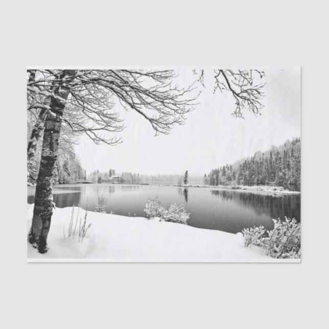 papel higiénico de paisaje invernal (Anverso)