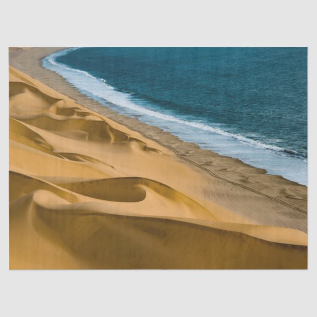 papel higiénico en el océano y la playa (Anverso)