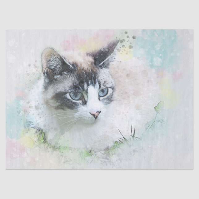 papel higiénico para el gato soñado (Anverso)