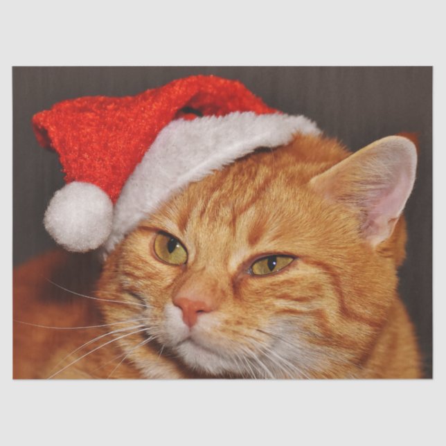 Papel higiénico para gatos navidades (Anverso)