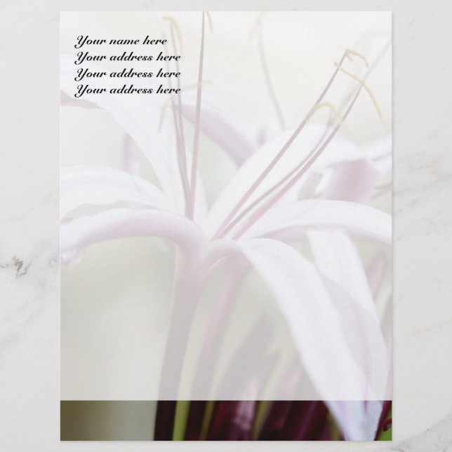 Papel Membretado Personalizado Lily (Anverso)