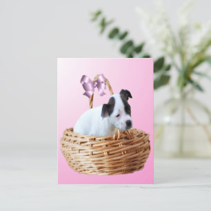 Papel negro de Staffordshire, postal