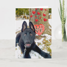 Papel negro GSD con corazón y tarjeta de San Valen