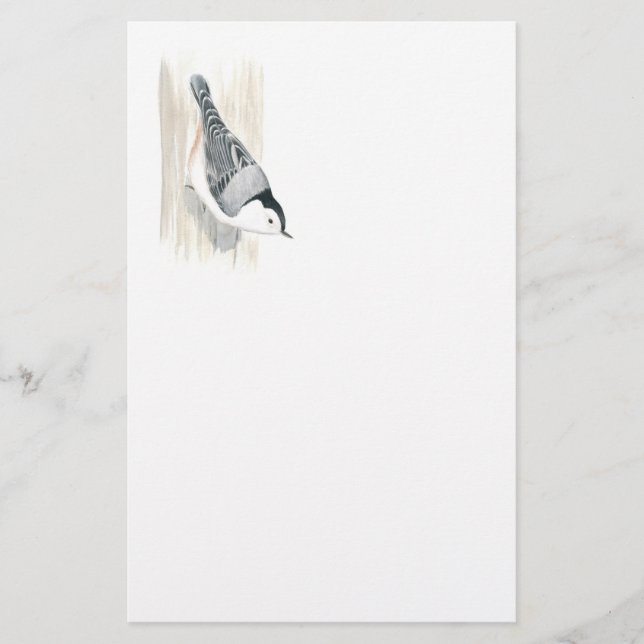 Papel nuthatch con pechos blancos (Anverso)