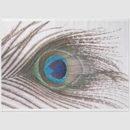 Papel para el tejido de la capa de pavo real de 3