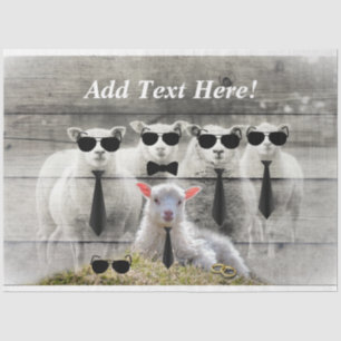 Papel para el tejido de la oveja Bebé