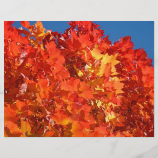 Papel para scrapbooking hojas de otoño Naranja
