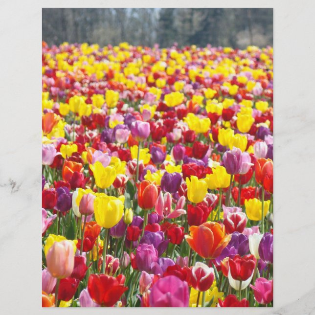 Papel para Volantes Tema Primavera Flores de Tulip (Frente)