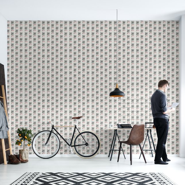 PAPEL PINTADO ACLUE (Sala de estar)