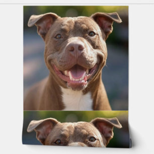 Papel Pintado Añadir Personalizar fotográfico de pitaciones