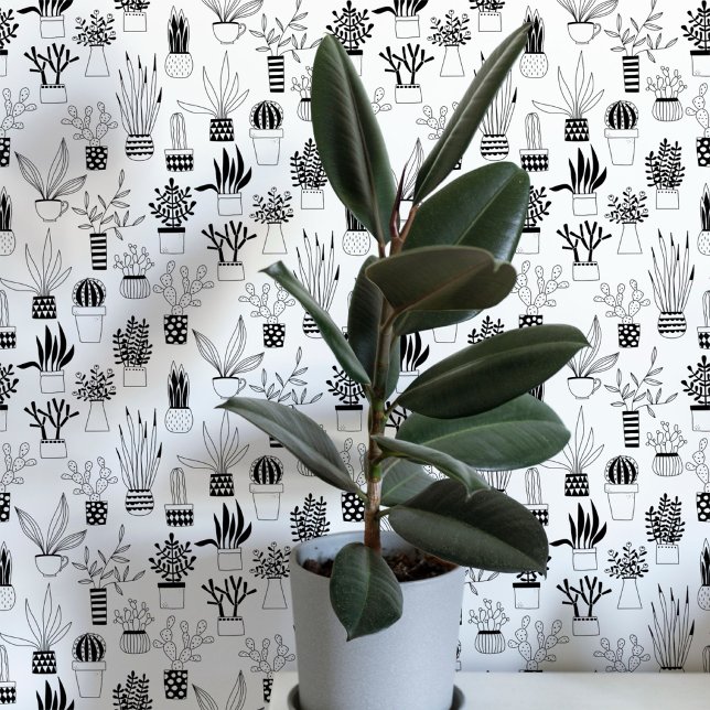 Papel Pintado Arte de cactus suculento en blanco y negro (Cactus cacti succulent house plant black and white art wallpaper)