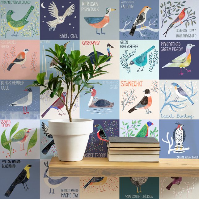 Papel Pintado Aves alrededor del mundo acuarela arte (Birds Around the World watercolor art hand lettered peel and stick wallpaper. Art by Nic Squirrell)