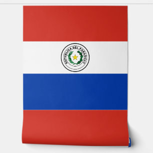 Papel Pintado Bandera de Paraguay